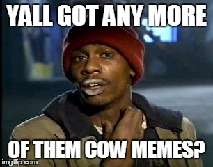 Y'all Got Any More Of That Meme | YALL GOT ANY MORE OF THEM COW MEMES? | image tagged in memes,yall got any more of | made w/ Imgflip meme maker