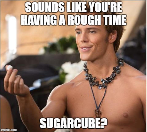 Sugarcube Finn | SOUNDS LIKE YOU'RE HAVING A ROUGH TIME; SUGARCUBE? | image tagged in memes,hunger games 2 | made w/ Imgflip meme maker