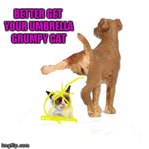 BETTER GET YOUR UMBRELLA GRUMPY CAT | made w/ Imgflip meme maker