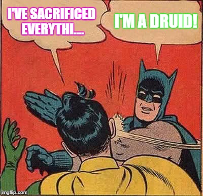 Batman Slapping Robin Meme | I'VE SACRIFICED EVERYTHI.... I'M A DRUID! | image tagged in memes,batman slapping robin | made w/ Imgflip meme maker