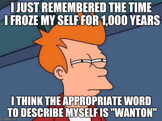 Futurama Fry | I JUST REMEMBERED THE TIME I FROZE MY SELF FOR 1,000 YEARS; I THINK THE APPROPRIATE WORD TO DESCRIBE MYSELF IS "WANTON" | image tagged in memes,futurama fry | made w/ Imgflip meme maker