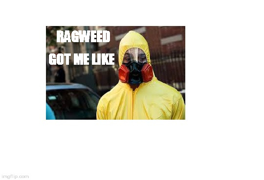 RAGWEED; GOT ME LIKE | image tagged in allergies | made w/ Imgflip meme maker