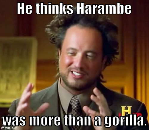 Ancient Aliens Meme | He thinks Harambe was more than a gorilla. | image tagged in memes,ancient aliens | made w/ Imgflip meme maker