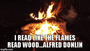 I read like the flames read wood.  Alfred Donlin | image tagged in gifs,flames,read | made w/ Imgflip video-to-gif maker