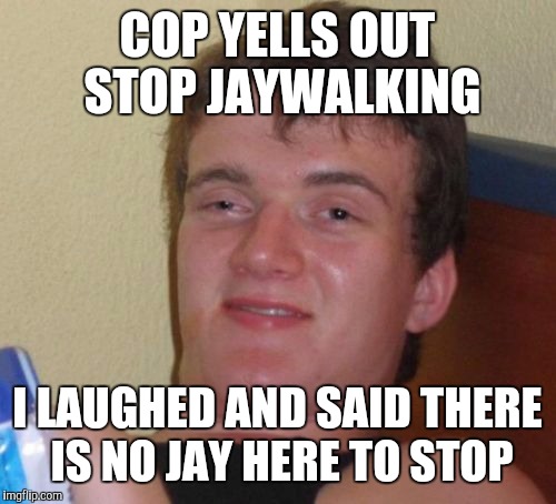 10 Guy | COP YELLS OUT STOP JAYWALKING; I LAUGHED AND SAID THERE IS NO JAY HERE TO STOP | image tagged in memes,10 guy | made w/ Imgflip meme maker