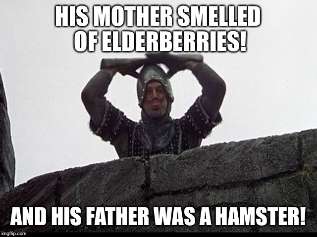 Taunting French Guard | HIS MOTHER SMELLED OF ELDERBERRIES! AND HIS FATHER WAS A HAMSTER! | image tagged in taunting french guard | made w/ Imgflip meme maker