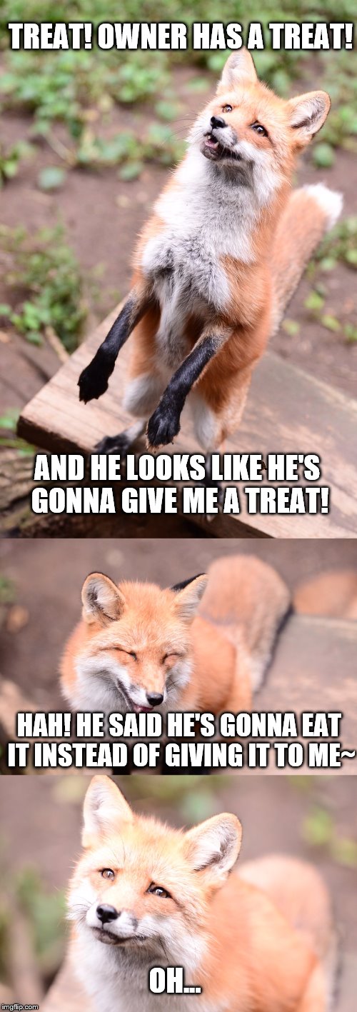 All the frickin' time | TREAT! OWNER HAS A TREAT! AND HE LOOKS LIKE HE'S GONNA GIVE ME A TREAT! HAH! HE SAID HE'S GONNA EAT IT INSTEAD OF GIVING IT TO ME~; OH... | image tagged in sad fox,fox,happy,treat | made w/ Imgflip meme maker