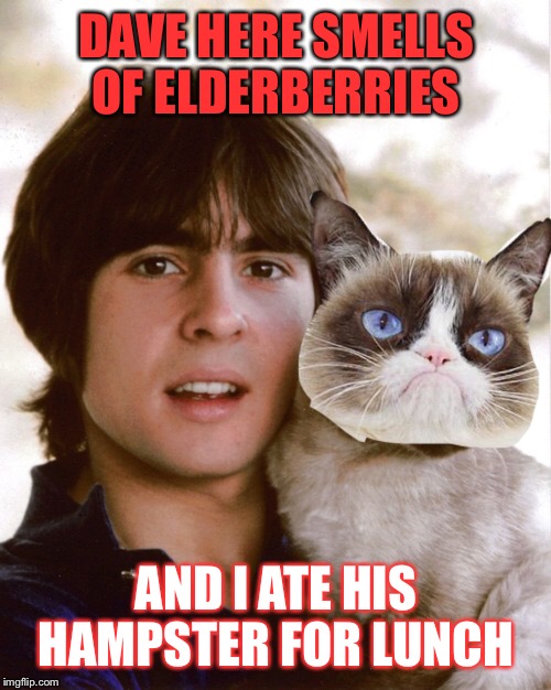 DAVE HERE SMELLS OF ELDERBERRIES AND I ATE HIS HAMPSTER FOR LUNCH | made w/ Imgflip meme maker
