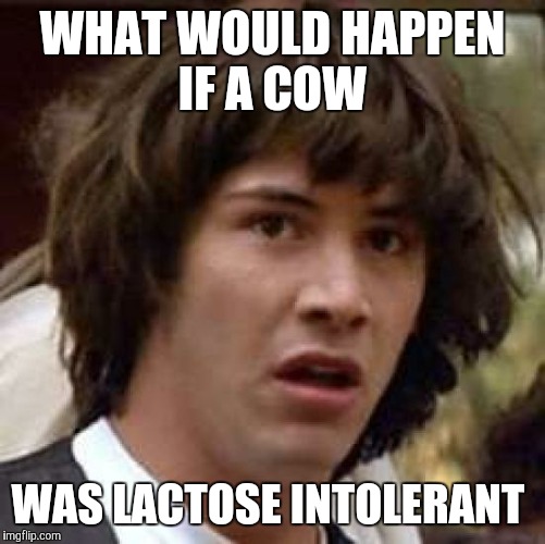 Conspiracy Keanu Meme | WHAT WOULD HAPPEN IF A COW; WAS LACTOSE INTOLERANT | image tagged in memes,conspiracy keanu | made w/ Imgflip meme maker