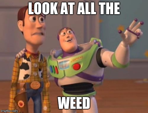 X, X Everywhere | LOOK AT ALL THE; WEED | image tagged in memes,x x everywhere | made w/ Imgflip meme maker