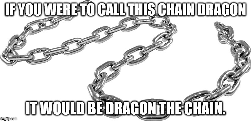 Dragon the chain | IF YOU WERE TO CALL THIS CHAIN DRAGON; IT WOULD BE DRAGON THE CHAIN. | image tagged in chain,dragon | made w/ Imgflip meme maker
