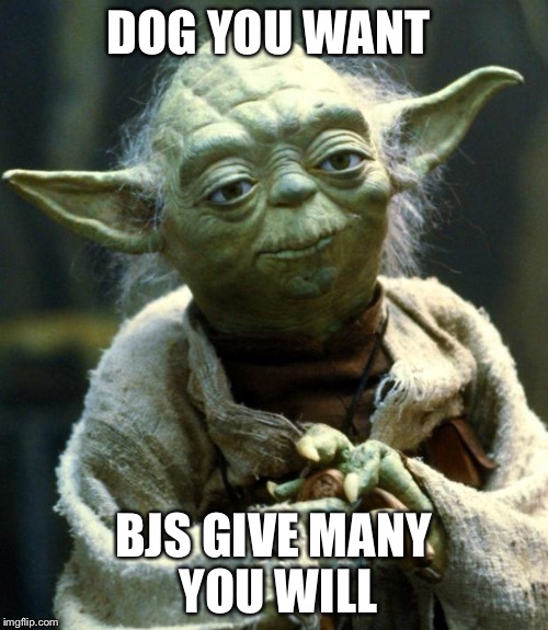 Star Wars Yoda Meme | DOG YOU WANT; BJS GIVE MANY YOU WILL | image tagged in memes,star wars yoda | made w/ Imgflip meme maker