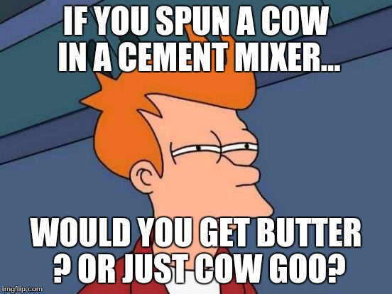Futurama Fry Meme | IF YOU SPUN A COW IN A CEMENT MIXER... WOULD YOU GET BUTTER ? OR JUST COW GOO? | image tagged in memes,futurama fry | made w/ Imgflip meme maker
