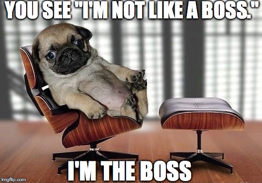 Boss | YOU SEE "I'M NOT LIKE A BOSS."; I'M THE BOSS | image tagged in boss | made w/ Imgflip meme maker