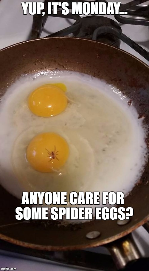 Spider in my eggs - Spider Eggs | YUP, IT'S MONDAY... ANYONE CARE FOR SOME SPIDER EGGS? | image tagged in spider,eggs,spidereggs,monday,monday mornings | made w/ Imgflip meme maker