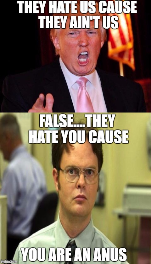 Hillary Clinton approves this message  | THEY HATE US CAUSE THEY AIN'T US; FALSE....THEY HATE YOU CAUSE; YOU ARE AN ANUS | image tagged in memes,donald trump,dwight schrute looking,hillary clinton approves this message | made w/ Imgflip meme maker