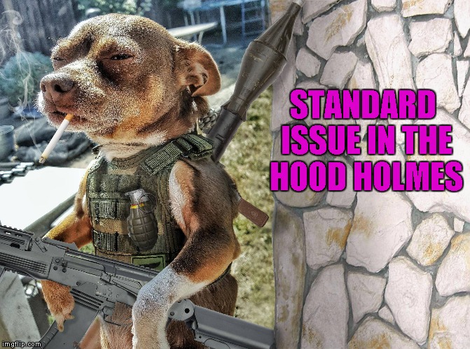 STANDARD ISSUE IN THE HOOD HOLMES | made w/ Imgflip meme maker
