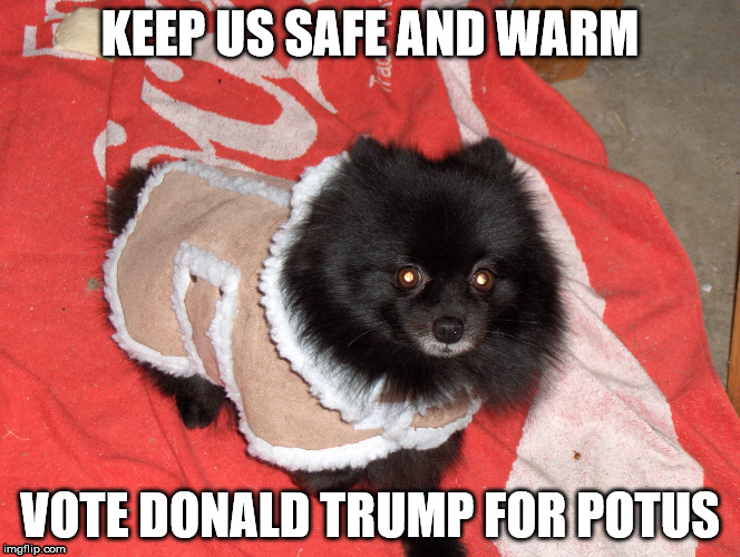 KEEP US SAFE AND WARM; VOTE DONALD TRUMP FOR POTUS | image tagged in maddie keefe | made w/ Imgflip meme maker