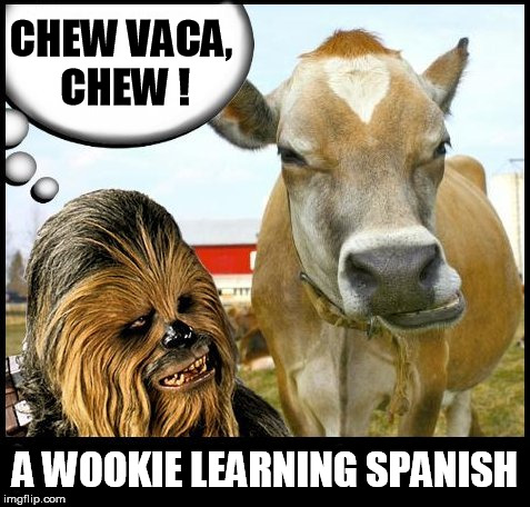 CHEW VACA, CHEW ! A WOOKIE LEARNING SPANISH | image tagged in chewbacca,chewie,starwars,wookie,spanish,wookies | made w/ Imgflip meme maker