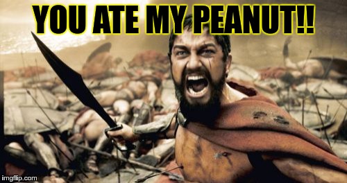 Sparta Leonidas | YOU ATE MY PEANUT!! | image tagged in memes,sparta leonidas | made w/ Imgflip meme maker