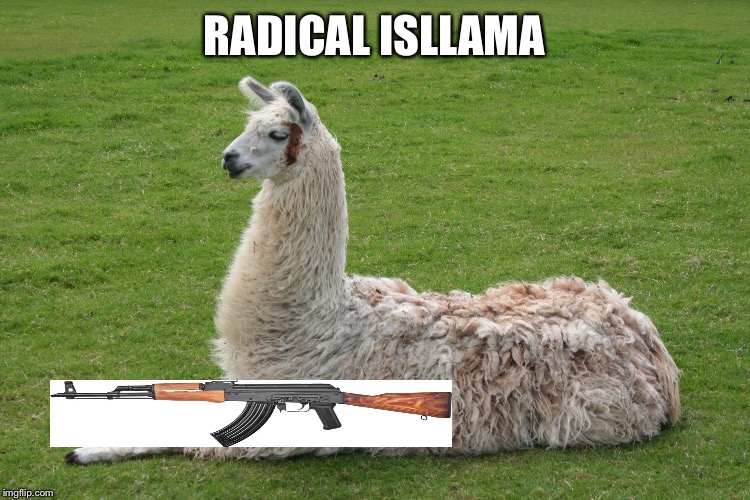 Radical Isllamazation is out of control | RADICAL ISLLAMA | image tagged in llama,leongambetta,dank,isllama,terrorist | made w/ Imgflip meme maker