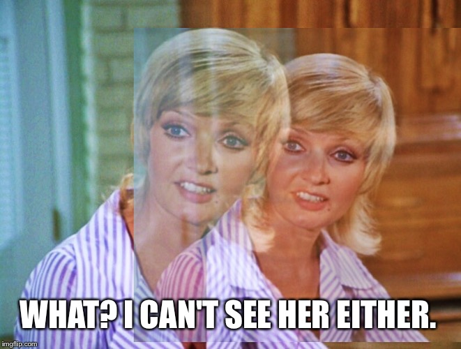 WHAT? I CAN'T SEE HER EITHER. | made w/ Imgflip meme maker