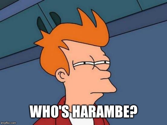 Futurama Fry Meme | WHO'S HARAMBE? | image tagged in memes,futurama fry | made w/ Imgflip meme maker