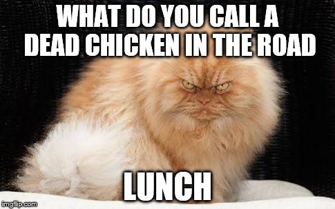 WHAT DO YOU CALL A DEAD CHICKEN IN THE ROAD LUNCH | made w/ Imgflip meme maker