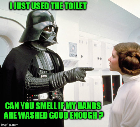 darth vader | I JUST USED THE TOILET; CAN YOU SMELL IF MY HANDS ARE WASHED GOOD ENOUGH ? | image tagged in darth vader,leia,princess leia,starwars,vader,vader scolds leia | made w/ Imgflip meme maker