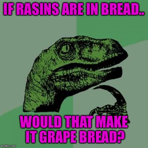 Philosoraptor | IF RASINS ARE IN BREAD.. WOULD THAT MAKE IT GRAPE BREAD? | image tagged in memes,philosoraptor | made w/ Imgflip meme maker