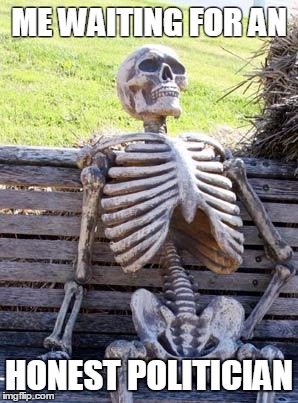 honest politician | ME WAITING FOR AN; HONEST POLITICIAN | image tagged in memes,waiting skeleton,politics | made w/ Imgflip meme maker