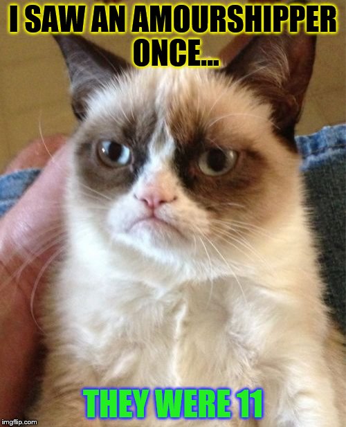 Grumpy Cat | I SAW AN AMOURSHIPPER ONCE... THEY WERE 11 | image tagged in memes,grumpy cat | made w/ Imgflip meme maker