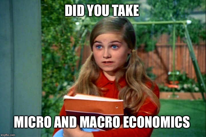 DID YOU TAKE MICRO AND MACRO ECONOMICS | made w/ Imgflip meme maker