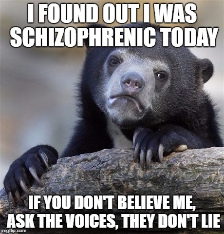 I had a great day today | I FOUND OUT I WAS SCHIZOPHRENIC TODAY; IF YOU DON'T BELIEVE ME, ASK THE VOICES, THEY DON'T LIE | image tagged in memes,confession bear | made w/ Imgflip meme maker