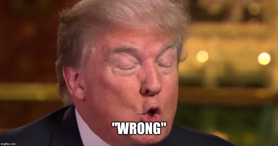 Trump "wrong" meme | "WRONG" | image tagged in trump wrong meme | made w/ Imgflip meme maker