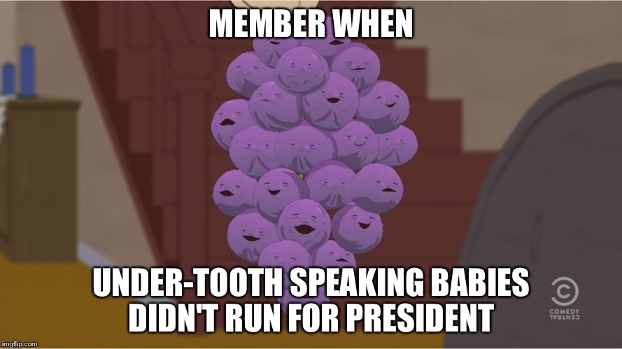 member berries | MEMBER WHEN; UNDER-TOOTH SPEAKING BABIES DIDN'T RUN FOR PRESIDENT | image tagged in member berries | made w/ Imgflip meme maker