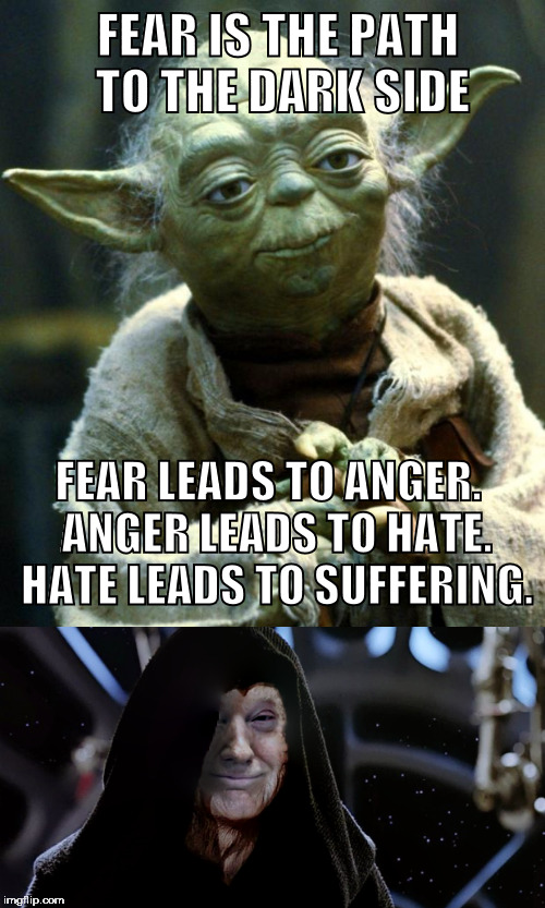 The Path to the Dark Side | FEAR IS THE PATH TO THE DARK SIDE; FEAR LEADS TO ANGER. 
ANGER LEADS TO HATE. 
HATE LEADS TO SUFFERING. | image tagged in trump,emperor,star wars,dark side,election 2016,yoda | made w/ Imgflip meme maker