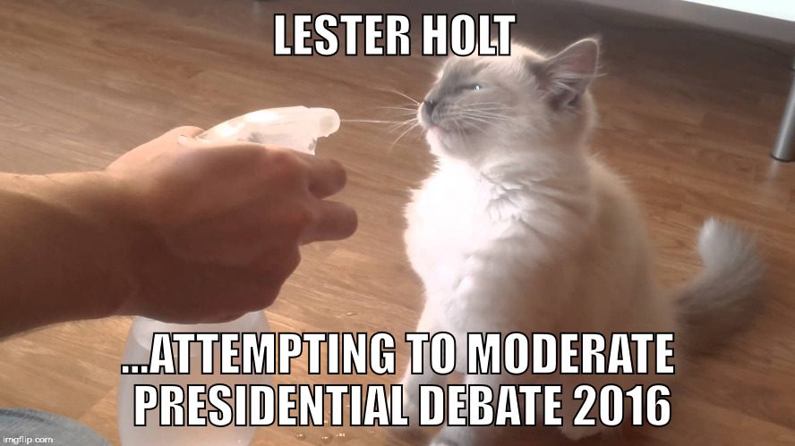 LESTER HOLT; ...ATTEMPTING TO MODERATE PRESIDENTIAL DEBATE 2016 | image tagged in moderating presidential debate 2016 | made w/ Imgflip meme maker