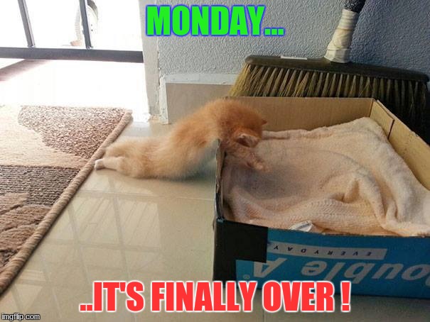 MONDAY... ..IT'S FINALLY OVER ! | image tagged in mondays | made w/ Imgflip meme maker