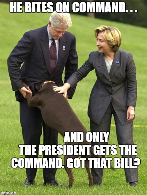 clinton's new dog | HE BITES ON COMMAND. . . AND ONLY    THE PRESIDENT GETS THE   COMMAND. GOT THAT BILL? | image tagged in hillary clinton,bill clinton,hillary,bill clinton - sexual relations | made w/ Imgflip meme maker