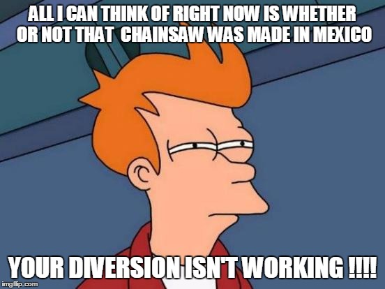 Futurama Fry Meme | ALL I CAN THINK OF RIGHT NOW IS WHETHER OR NOT THAT  CHAINSAW WAS MADE IN MEXICO YOUR DIVERSION ISN'T WORKING !!!! | image tagged in memes,futurama fry | made w/ Imgflip meme maker