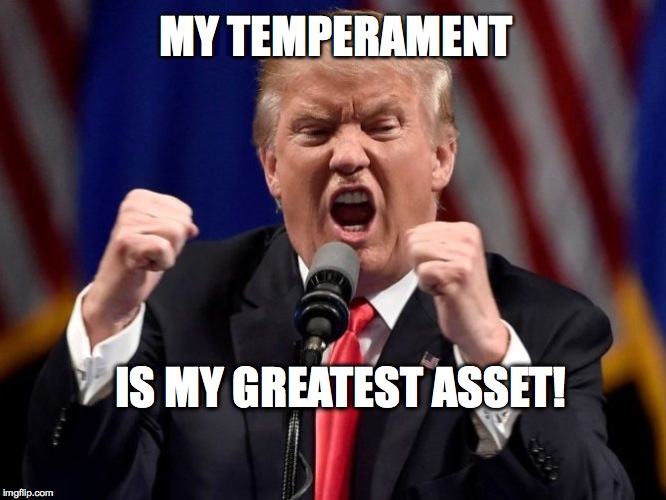 Trump Temperament | MY TEMPERAMENT; IS MY GREATEST ASSET! | image tagged in donald trump,idiocracy,election 2016 | made w/ Imgflip meme maker