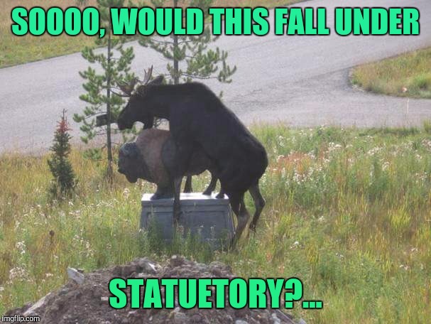 She's nice but cold at heart | SOOOO, WOULD THIS FALL UNDER; STATUETORY?... | image tagged in sewmyeyesshut,funny memes,horney moose | made w/ Imgflip meme maker