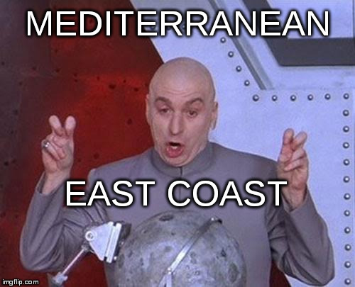 Dr Evil Laser Meme | MEDITERRANEAN EAST COAST | image tagged in memes,dr evil laser | made w/ Imgflip meme maker