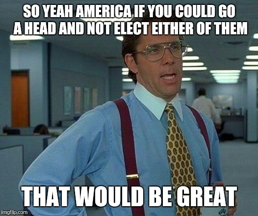 That Would Be Great | SO YEAH AMERICA IF YOU COULD GO A HEAD AND NOT ELECT EITHER OF THEM; THAT WOULD BE GREAT | image tagged in memes,that would be great | made w/ Imgflip meme maker