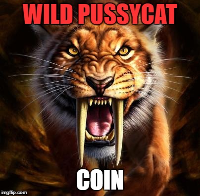 WILD PUSSYCAT; COIN | made w/ Imgflip meme maker