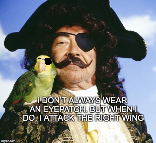 A Cracker | I DON’T ALWAYS WEAR AN EYEPATCH. BUT WHEN I DO, I ATTACK THE RIGHT WING | image tagged in pirate,parrot | made w/ Imgflip meme maker