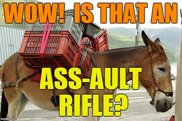 WOW!  IS THAT AN ASS-AULT RIFLE? | image tagged in mule | made w/ Imgflip meme maker