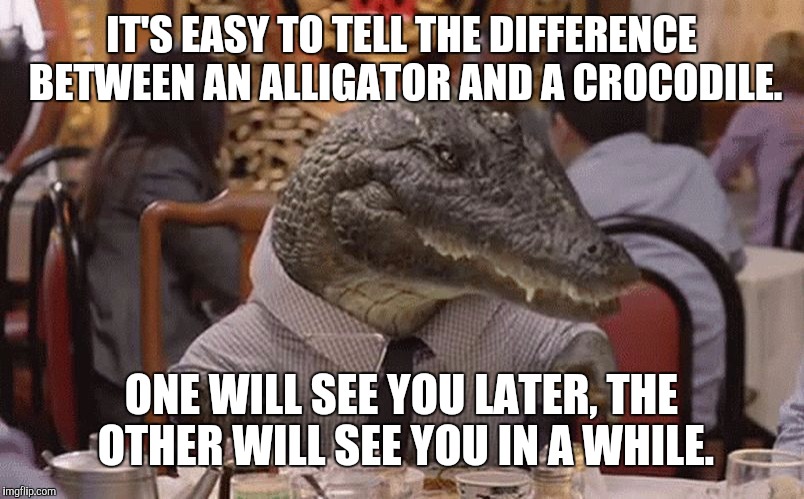 Geico Alligator Arms | IT'S EASY TO TELL THE DIFFERENCE BETWEEN AN ALLIGATOR AND A CROCODILE. ONE WILL SEE YOU LATER, THE OTHER WILL SEE YOU IN A WHILE. | image tagged in geico alligator arms | made w/ Imgflip meme maker