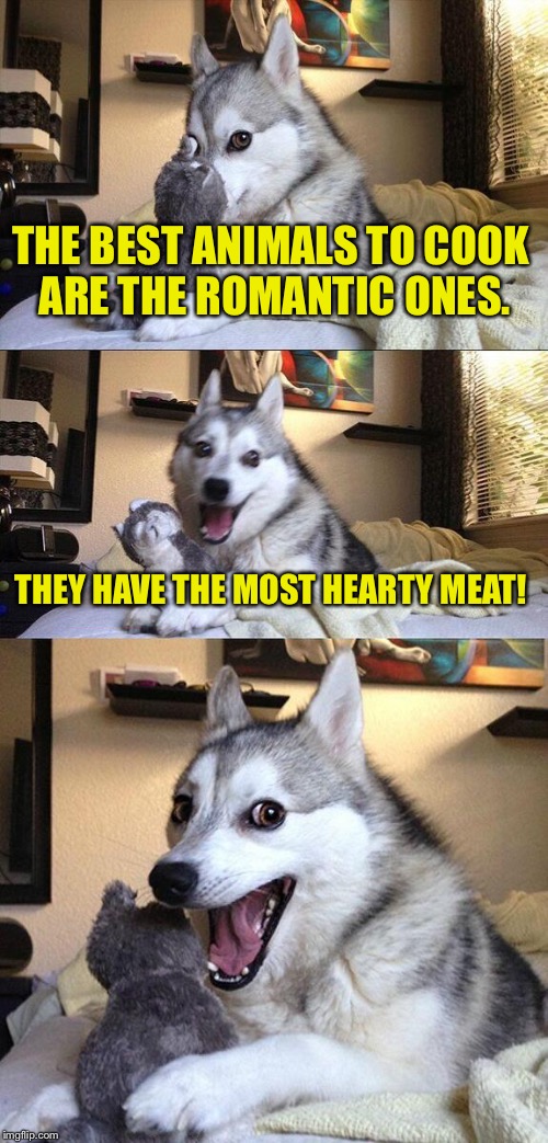 Don't eat dogs. That's wrong. | THE BEST ANIMALS TO COOK ARE THE ROMANTIC ONES. THEY HAVE THE MOST HEARTY MEAT! | image tagged in memes,bad pun dog,funny memes,love,cooking | made w/ Imgflip meme maker
